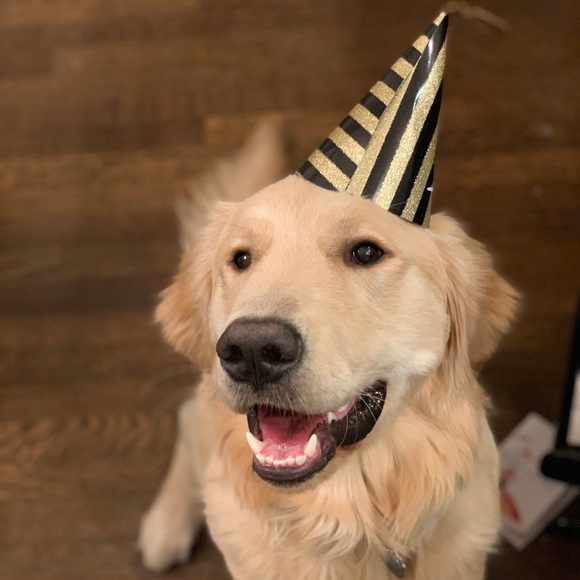 Meet your Posher, Sonia - Picture 1 of 1